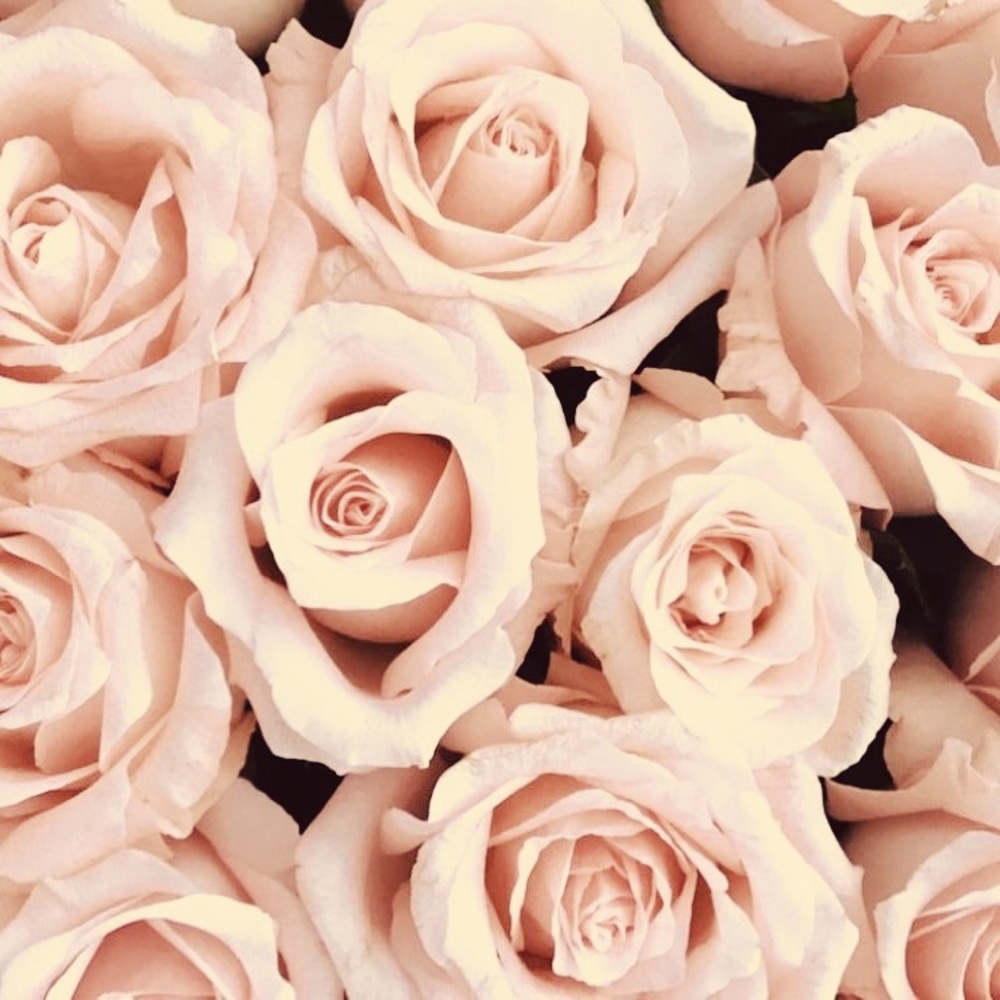 Meet your Posher, Eriana